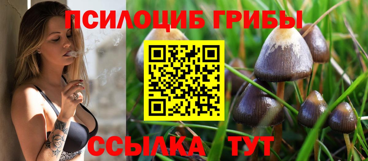 Псилоцибиновые грибы Magic Shrooms Кунгур